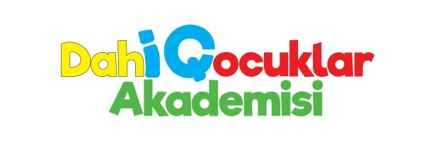 https://dahicocuklarakademisi.com/