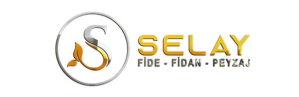 https://selayfide.com.tr/